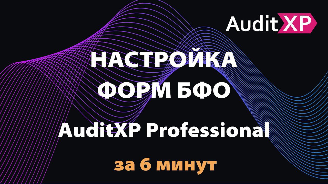 Формы БФО и их настройка в программе AuditXP Professional смотреть онлайн