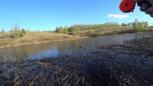 Удочка не выдержала и сломалась! Ловля Карася на Боковой Кивок и Поплавок.