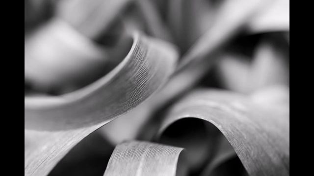 Кристаллические Моменты