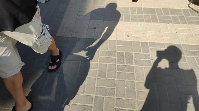 На Ярмарку Краснодара с Муркой.