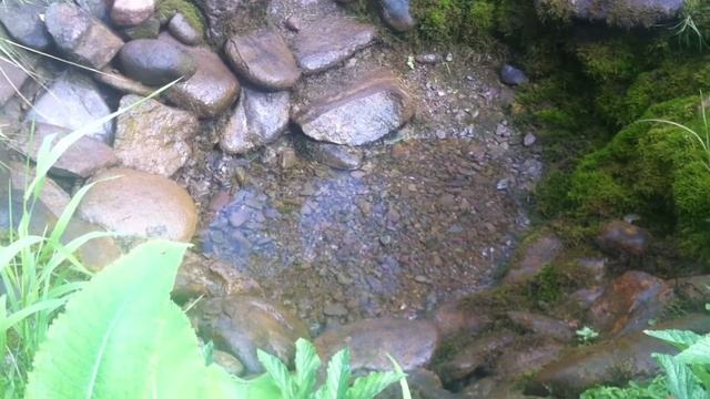 Исчезающий источник - смотреть онлайн