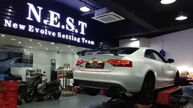 Audi S5 (B8) w/ ARMYTRIX Cat-Back Exhaust By New Evolve Setting Team смотреть онлайн