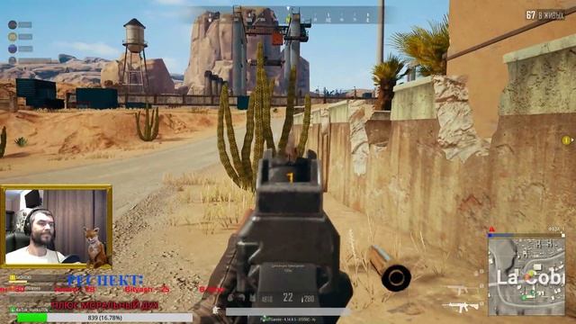 PUBG стрим |★ПАБГ стрим. Дневной разнос!★ | Стрим PlayerUnknown's Battlegrounds/PUBG / ПУБГ / ПАБГ смотреть онлайн