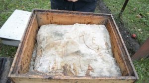 Как предотвратить сырость в улье. Зимовка пчел на воле.