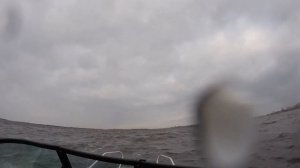 Моторная лодка Волжанка 46 Фиш, поведение на волнении