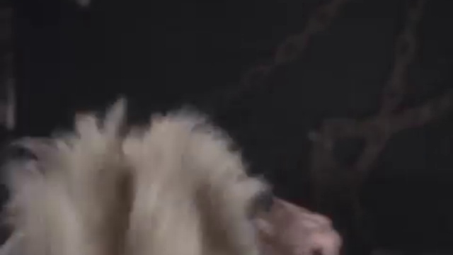 Annihilator - Alison Hell смотреть онлайн