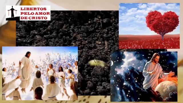 333 - (Mateus 3:11-17) - O SIGNIFICADO DO BATISMO. смотреть онлайн