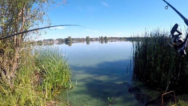 Отчет с рыбалки, ФИДЕР. Как мы забыли червя и опарыша. Семейная рыбалка на ФИДЕР! смотреть онлайн