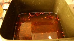 Как приготовить тигровый орех для рыбалки. Лучшая наживка для карпа