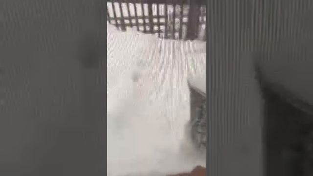 Winter Storm Jonas Hiller 2016 смотреть онлайн