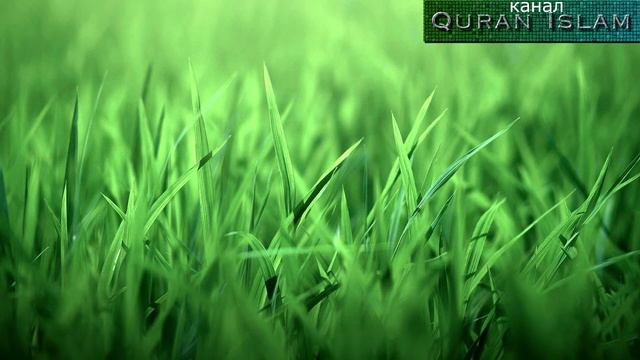 ХАДИС - О ТОМ, КТО УВИДЕЛ СВОБОДНОЕ МЕСТО В КРУГУ ЗИКРА И СЕЛ ТАМ смотреть онлайн