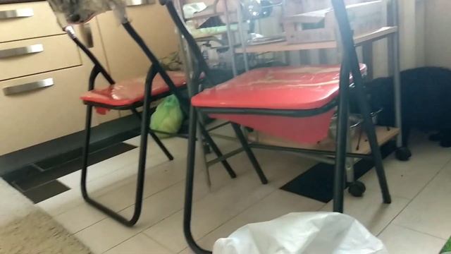 ураган , галушки , продукты , ошейник Дана , сломался холодильник Вирпул смотреть онлайн