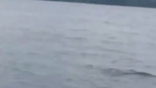 Ветерок 9.9 по волге смотреть онлайн