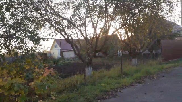 Из города в деревню! Обзор нашего погреба и улицы!