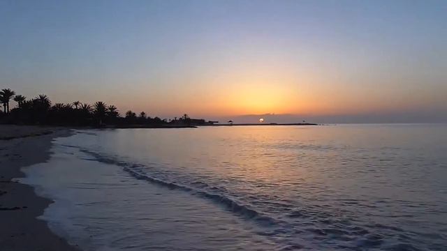 Рассвет в Тунисе х 250 смотреть онлайн