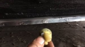 Цинкование кузова в гаражных условиях (холодное цинкование)