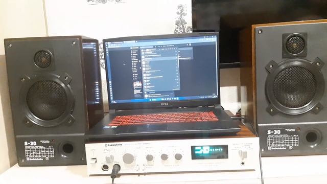 Колонки Radiotehnika S-30