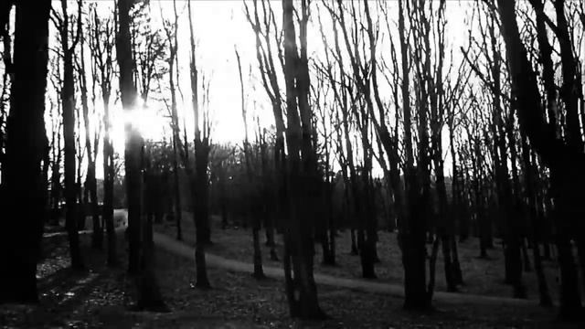 Kunde jag följa dig - fra «Vær Hilset Karin Boye» смотреть онлайн