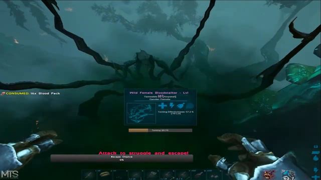 MTS CHAPTER 2 beginners EP1(SOLO) смотреть онлайн