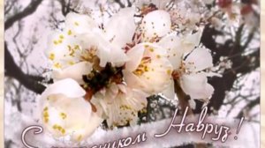 Novruz Bayraminiz Mubarek Olsun