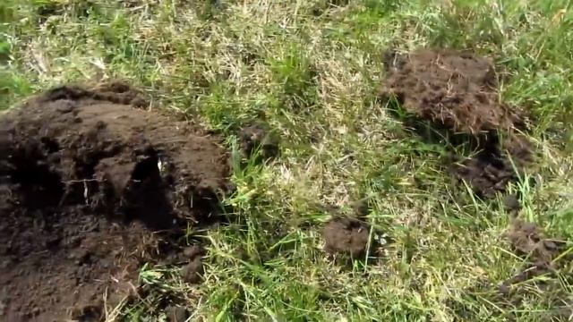 Серебряный болт , амулет и россыпь старинных монет !! смотреть онлайн