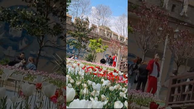 Constantinople (Istanbul) Gulhane Park. смотреть онлайн