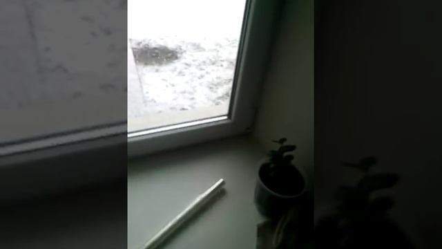 Чтобы пластиковые окна не потели смотреть онлайн