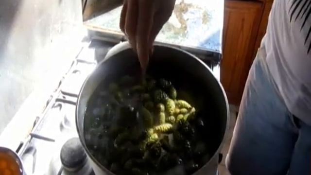 Варенье из сосновых шишек смотреть онлайн