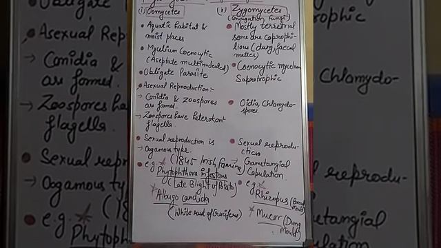 Biology 11th , Kingdom Fungi (Part-5) смотреть онлайн