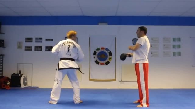 Taekwondo 540 Kick Paddle Hit | Ginger Ninja Trickster смотреть онлайн