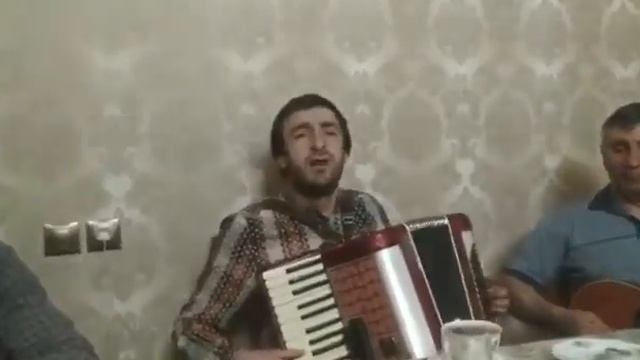 Магомед Шамсутдинов - Аварская песня на баяне в сочетании с мандалиной смотреть онлайн