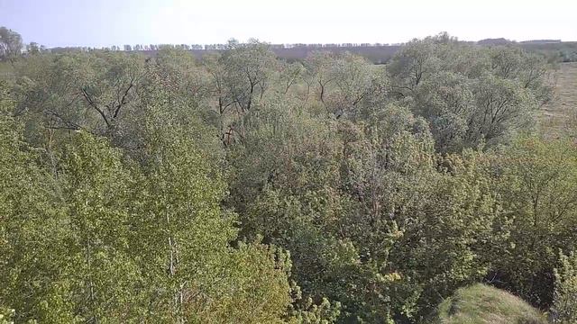 Заброшенные рязанские края / за городом смотреть онлайн