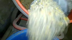 Финишный комбикорм для бройлеров, рецепт для гранулятора.