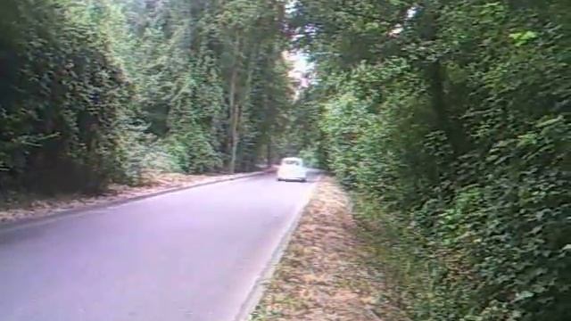 coccinelle смотреть онлайн