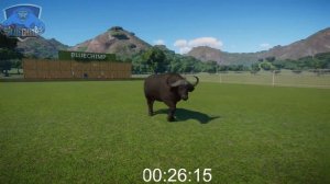 Zebra, Horse, Somali Wild Ass, African Buffalo, Wild Water Buffalo | Planet Zoo Animal Race