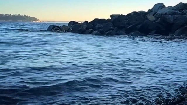 Relaxing Music with Ocean Waves | Piano Music | Meditation Music - Piano Music - Stress Relief Musi смотреть онлайн