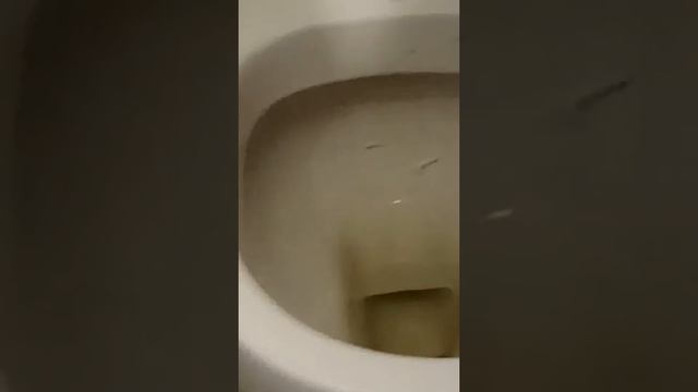 Крем для чистки плитки и металлических поверхностей код:11158 компания faberlic смотреть онлайн