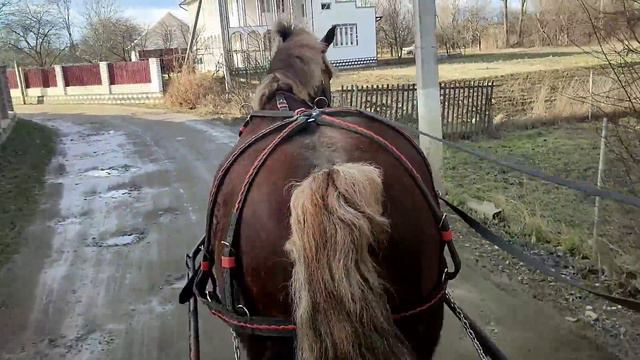 НАРОДЖЕНА ДО МАРАТОНА/ТАКУ КОБИЛУ 🚀ЯК РУЖА, ДНЕМ З ВОГНЕМ НЕ ЗНАЙДЕШ🕵️/ОБКАТКА МАРАТОНА✈️ смотреть онлайн