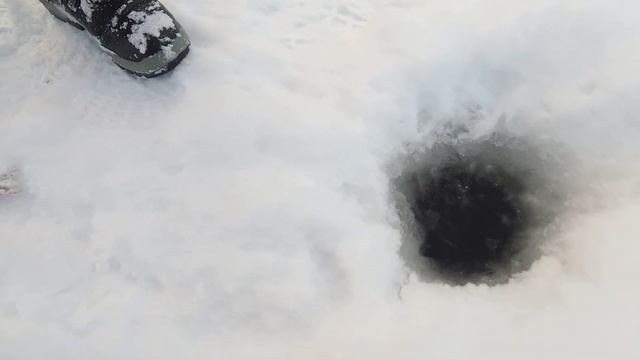 ЗИМНЯЯ рыбалка на ДОНКИ 2022г!Река ДОН! смотреть онлайн