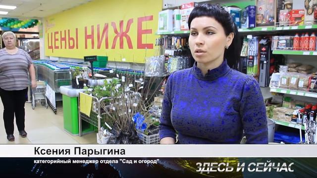 покупаем саженцы смотреть онлайн