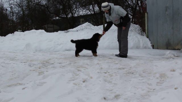 Фиолетовый 3. Dyourbahler Klab Elation Smile. смотреть онлайн