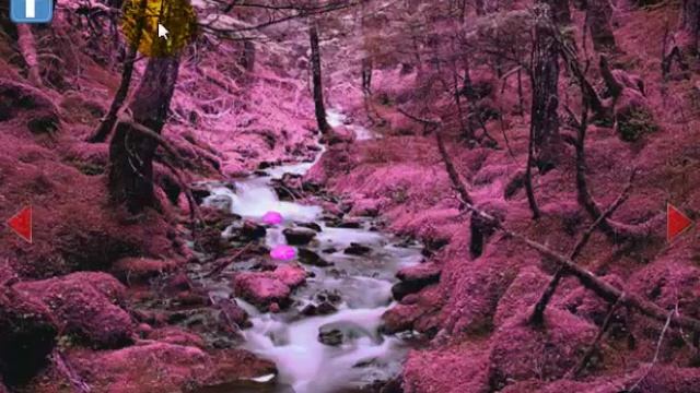 Rain Forest Escape Walkthrough (Games2rule) смотреть онлайн