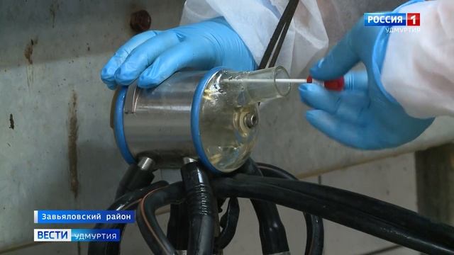 В Удмуртии назвали лучшие фермы по качеству и безопасности молока смотреть онлайн