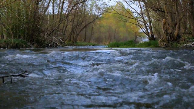 Звуки природы. Река Урал. смотреть онлайн
