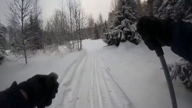 Лыжная прогулка с друзьями. Мальцы. Чеховская обл. Январь 2022 смотреть онлайн