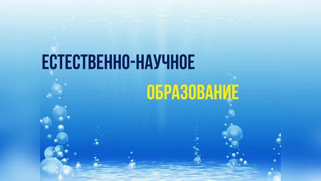 Условия ДОУ для реализации научно-образовательного проекта смотреть онлайн