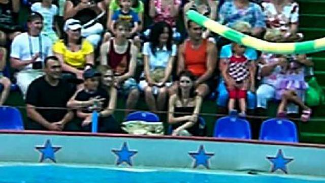 Афалины В Адлерском Дельфинарии 2 смотреть онлайн