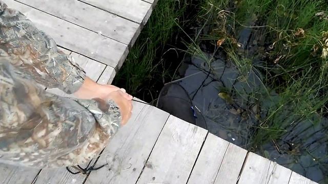 Рыбалка на платнике в Логойском районе (Минская область) - результат смотреть онлайн