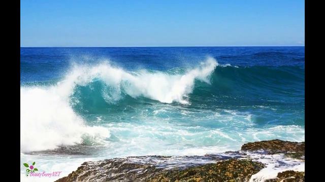 CAROLINA HERRERA СH Спорт Туалетная Вода Спрей