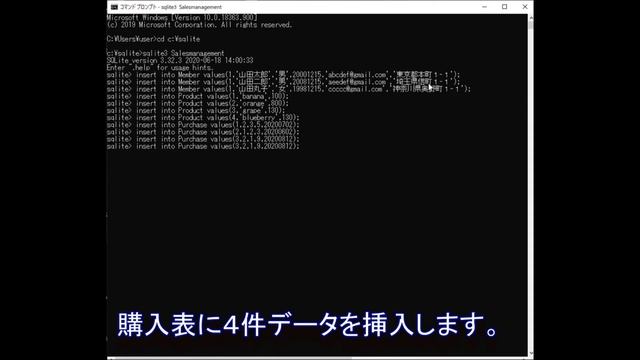 【SQLite】第三回テーブル(table)にデータを挿入(insert)して、挿入したデータを確認(select)★ смотреть онлайн